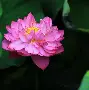 爱游戏娱乐-base码表